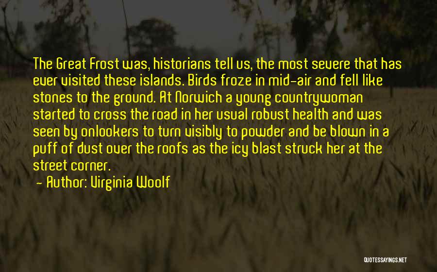 Virginia Woolf Quotes: The Great Frost Was, Historians Tell Us, The Most Severe That Has Ever Visited These Islands. Birds Froze In Mid-air