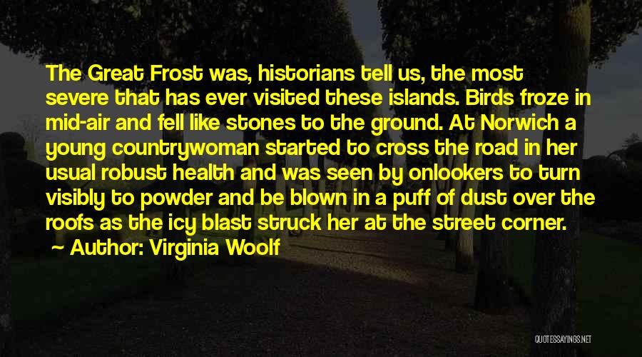 Virginia Woolf Quotes: The Great Frost Was, Historians Tell Us, The Most Severe That Has Ever Visited These Islands. Birds Froze In Mid-air