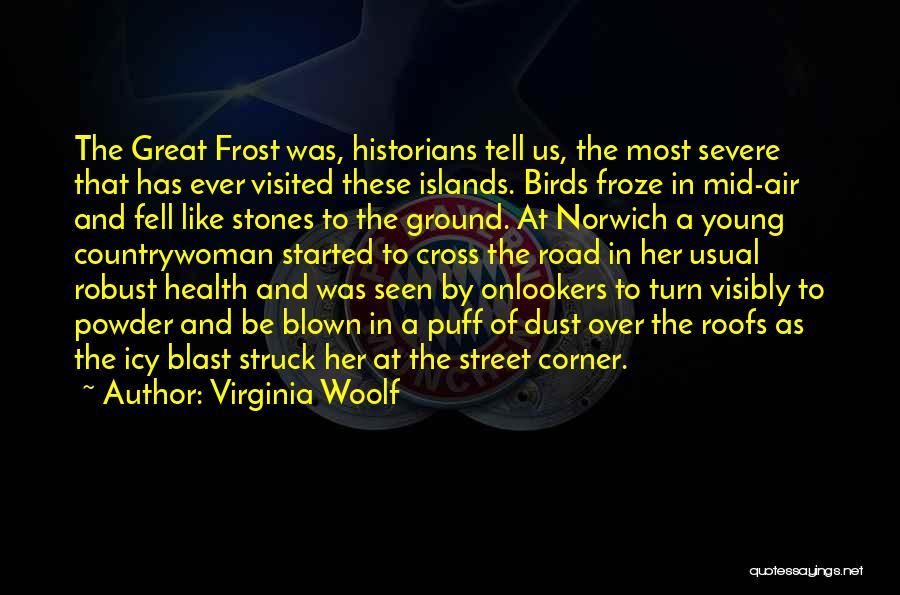 Virginia Woolf Quotes: The Great Frost Was, Historians Tell Us, The Most Severe That Has Ever Visited These Islands. Birds Froze In Mid-air