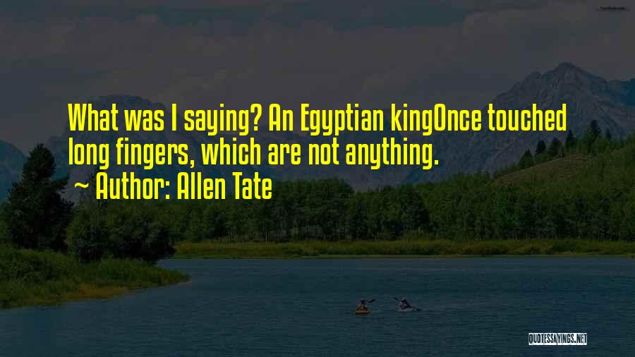 Allen Tate Quotes: What Was I Saying? An Egyptian Kingonce Touched Long Fingers, Which Are Not Anything.