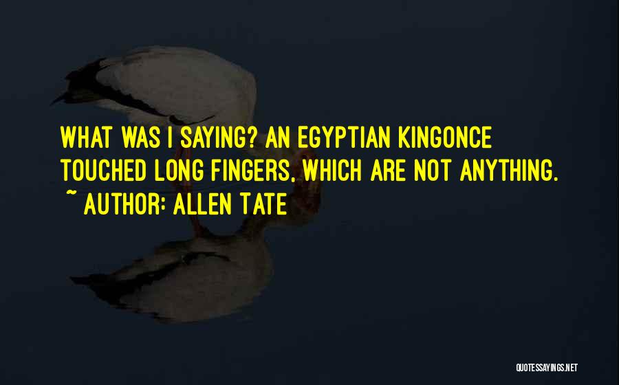 Allen Tate Quotes: What Was I Saying? An Egyptian Kingonce Touched Long Fingers, Which Are Not Anything.