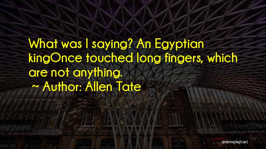 Allen Tate Quotes: What Was I Saying? An Egyptian Kingonce Touched Long Fingers, Which Are Not Anything.