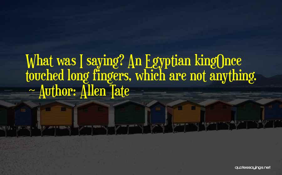 Allen Tate Quotes: What Was I Saying? An Egyptian Kingonce Touched Long Fingers, Which Are Not Anything.