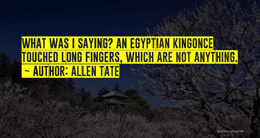Allen Tate Quotes: What Was I Saying? An Egyptian Kingonce Touched Long Fingers, Which Are Not Anything.