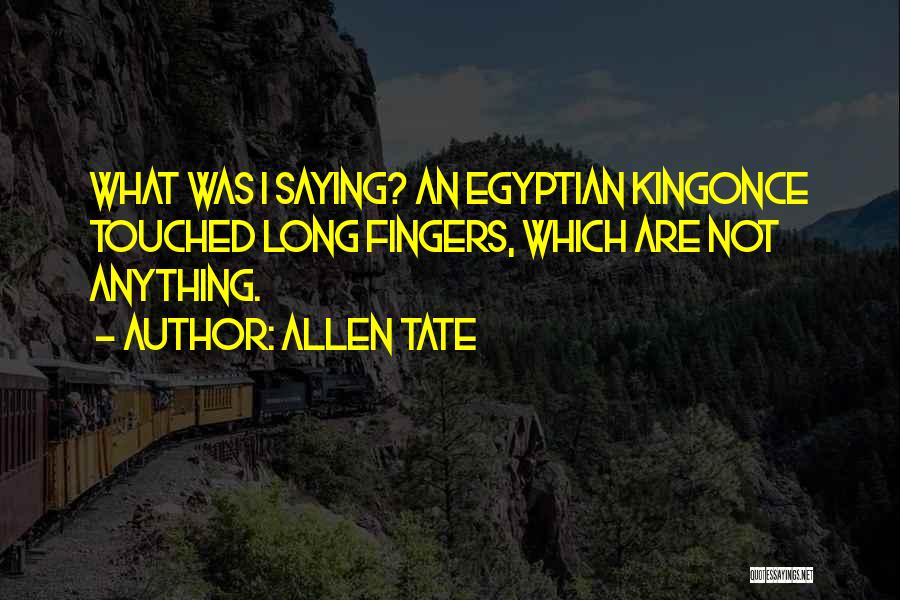 Allen Tate Quotes: What Was I Saying? An Egyptian Kingonce Touched Long Fingers, Which Are Not Anything.