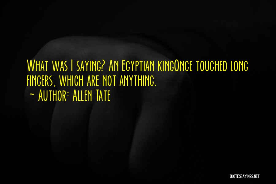 Allen Tate Quotes: What Was I Saying? An Egyptian Kingonce Touched Long Fingers, Which Are Not Anything.