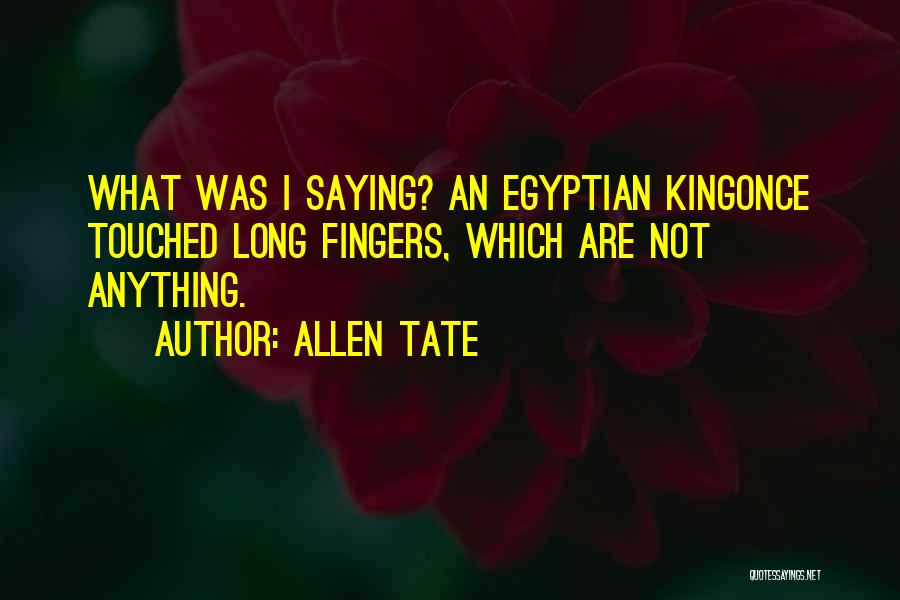 Allen Tate Quotes: What Was I Saying? An Egyptian Kingonce Touched Long Fingers, Which Are Not Anything.