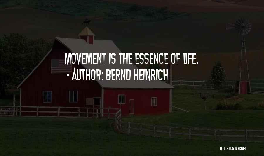 Bernd Heinrich Quotes: Movement Is The Essence Of Life.