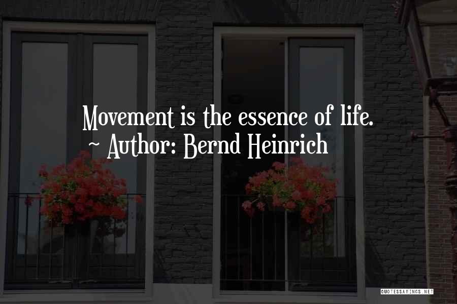 Bernd Heinrich Quotes: Movement Is The Essence Of Life.