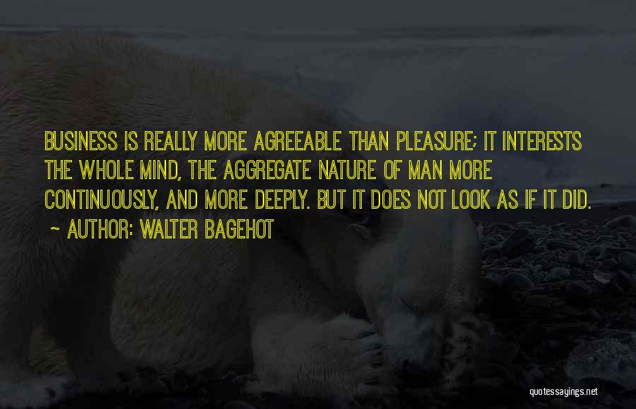 Walter Bagehot Quotes: Business Is Really More Agreeable Than Pleasure; It Interests The Whole Mind, The Aggregate Nature Of Man More Continuously, And