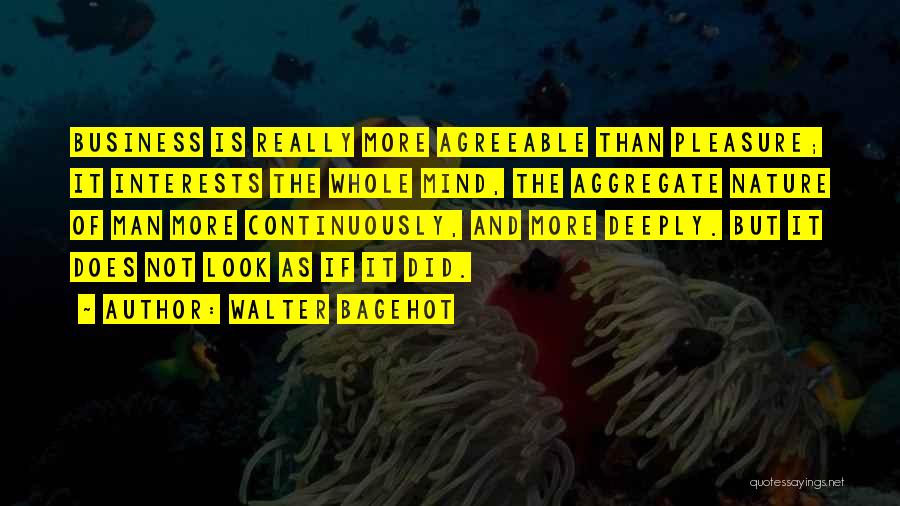 Walter Bagehot Quotes: Business Is Really More Agreeable Than Pleasure; It Interests The Whole Mind, The Aggregate Nature Of Man More Continuously, And