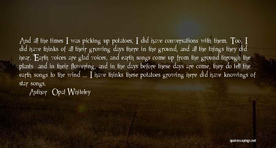 Opal Whiteley Quotes: And All The Times I Was Picking Up Potatoes, I Did Have Conversations With Them. Too, I Did Have Thinks