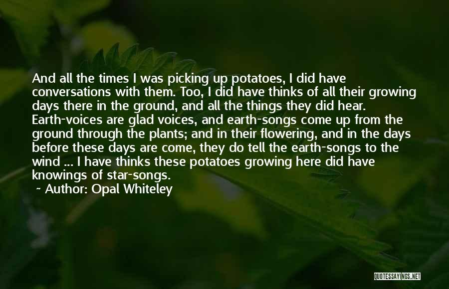 Opal Whiteley Quotes: And All The Times I Was Picking Up Potatoes, I Did Have Conversations With Them. Too, I Did Have Thinks