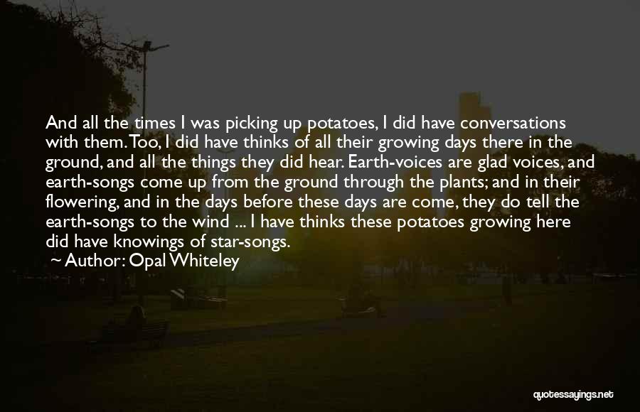 Opal Whiteley Quotes: And All The Times I Was Picking Up Potatoes, I Did Have Conversations With Them. Too, I Did Have Thinks