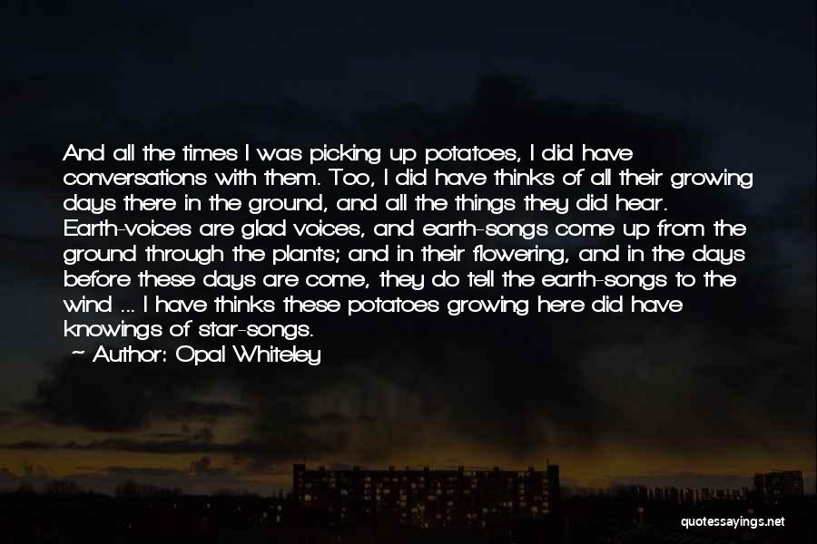 Opal Whiteley Quotes: And All The Times I Was Picking Up Potatoes, I Did Have Conversations With Them. Too, I Did Have Thinks