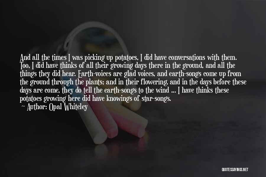 Opal Whiteley Quotes: And All The Times I Was Picking Up Potatoes, I Did Have Conversations With Them. Too, I Did Have Thinks