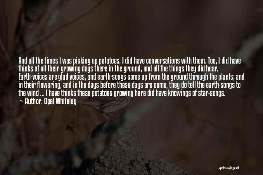 Opal Whiteley Quotes: And All The Times I Was Picking Up Potatoes, I Did Have Conversations With Them. Too, I Did Have Thinks