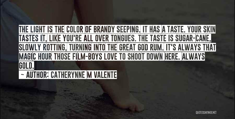 Catherynne M Valente Quotes: The Light Is The Color Of Brandy Seeping. It Has A Taste. Your Skin Tastes It, Like You're All Over