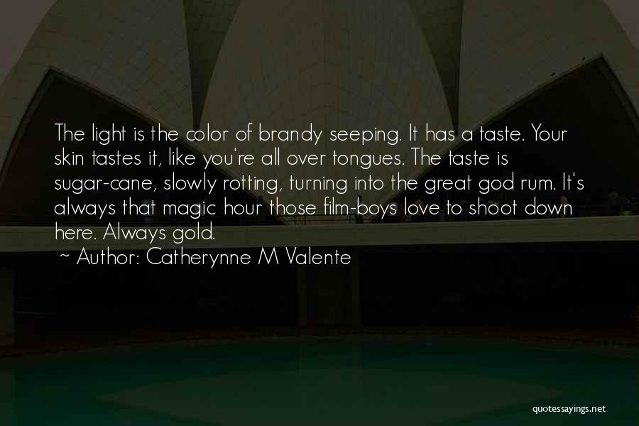 Catherynne M Valente Quotes: The Light Is The Color Of Brandy Seeping. It Has A Taste. Your Skin Tastes It, Like You're All Over