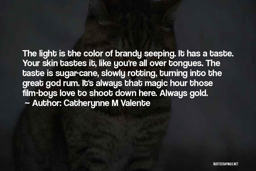 Catherynne M Valente Quotes: The Light Is The Color Of Brandy Seeping. It Has A Taste. Your Skin Tastes It, Like You're All Over
