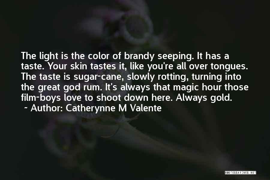 Catherynne M Valente Quotes: The Light Is The Color Of Brandy Seeping. It Has A Taste. Your Skin Tastes It, Like You're All Over