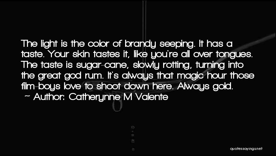 Catherynne M Valente Quotes: The Light Is The Color Of Brandy Seeping. It Has A Taste. Your Skin Tastes It, Like You're All Over