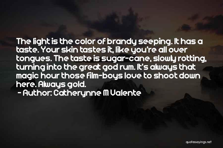 Catherynne M Valente Quotes: The Light Is The Color Of Brandy Seeping. It Has A Taste. Your Skin Tastes It, Like You're All Over