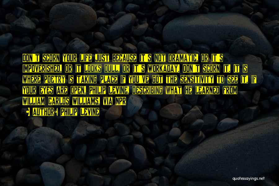 Philip Levine Quotes: Don't Scorn Your Life Just Because It's Not Dramatic, Or It's Impoverished, Or It Looks Dull, Or It's Workaday. Don't