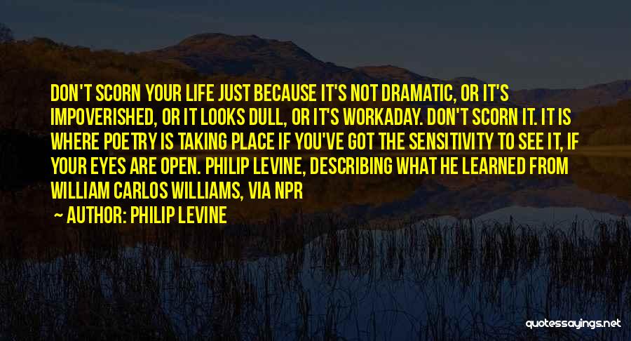 Philip Levine Quotes: Don't Scorn Your Life Just Because It's Not Dramatic, Or It's Impoverished, Or It Looks Dull, Or It's Workaday. Don't