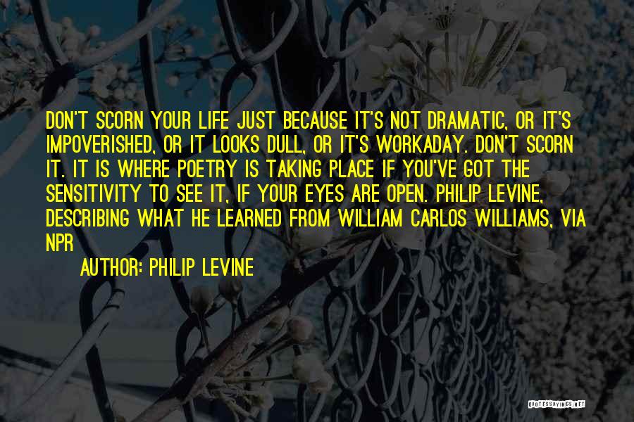 Philip Levine Quotes: Don't Scorn Your Life Just Because It's Not Dramatic, Or It's Impoverished, Or It Looks Dull, Or It's Workaday. Don't