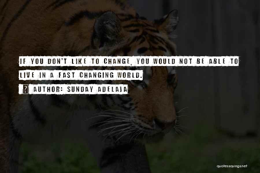 Sunday Adelaja Quotes: If You Don't Like To Change, You Would Not Be Able To Live In A Fast Changing World.