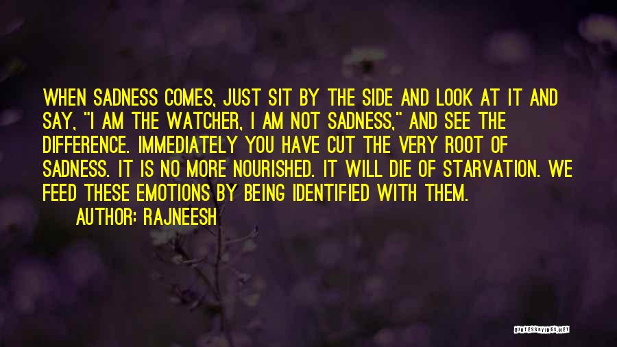 Rajneesh Quotes: When Sadness Comes, Just Sit By The Side And Look At It And Say, I Am The Watcher, I Am