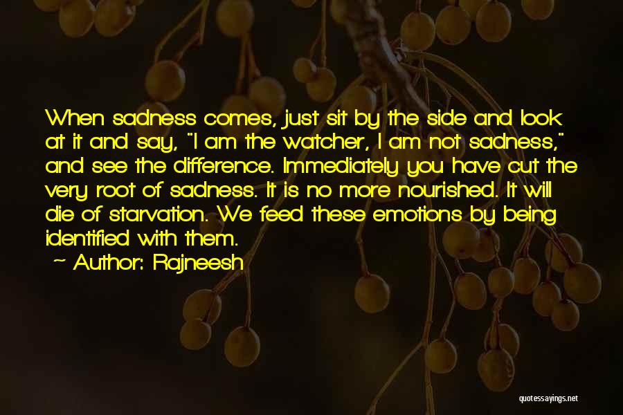 Rajneesh Quotes: When Sadness Comes, Just Sit By The Side And Look At It And Say, I Am The Watcher, I Am