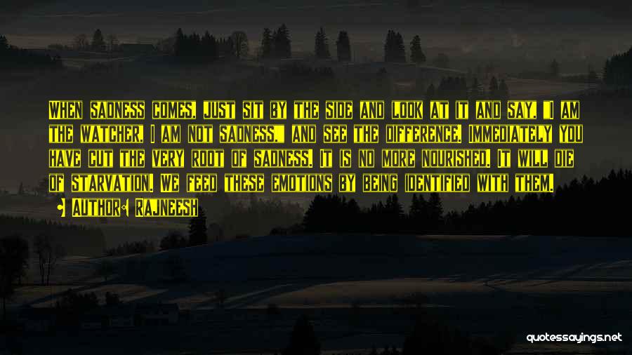 Rajneesh Quotes: When Sadness Comes, Just Sit By The Side And Look At It And Say, I Am The Watcher, I Am