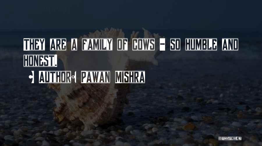 Pawan Mishra Quotes: They Are A Family Of Cows - So Humble And Honest.