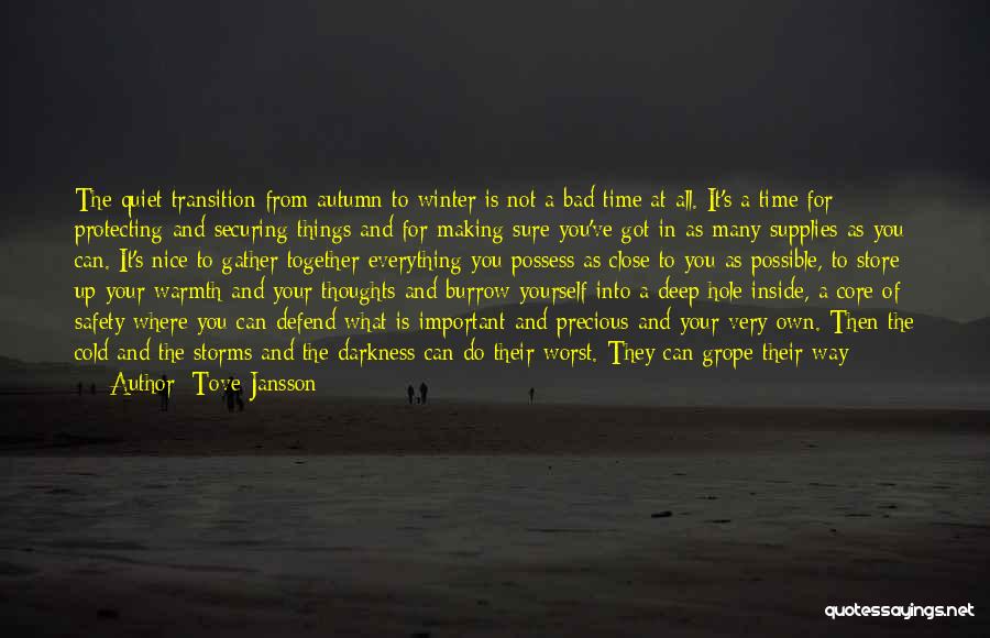 Tove Jansson Quotes: The Quiet Transition From Autumn To Winter Is Not A Bad Time At All. It's A Time For Protecting And