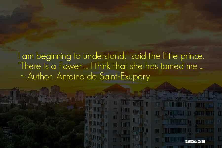 Antoine De Saint-Exupery Quotes: I Am Beginning To Understand, Said The Little Prince. There Is A Flower ... I Think That She Has Tamed