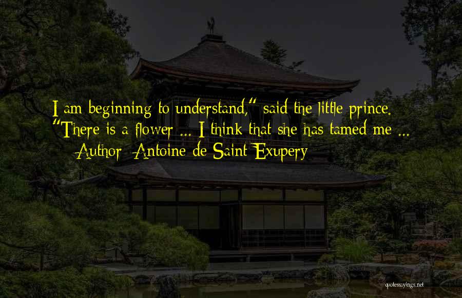 Antoine De Saint-Exupery Quotes: I Am Beginning To Understand, Said The Little Prince. There Is A Flower ... I Think That She Has Tamed