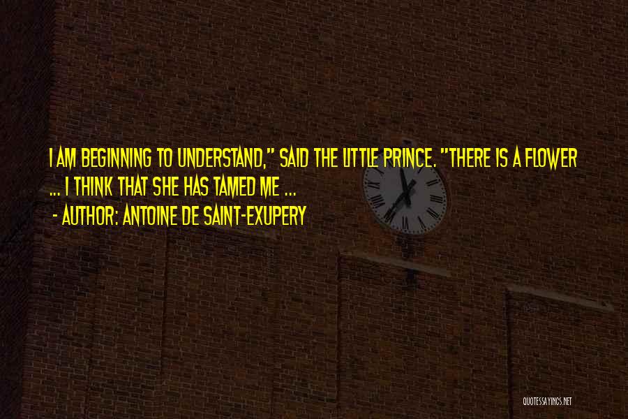 Antoine De Saint-Exupery Quotes: I Am Beginning To Understand, Said The Little Prince. There Is A Flower ... I Think That She Has Tamed
