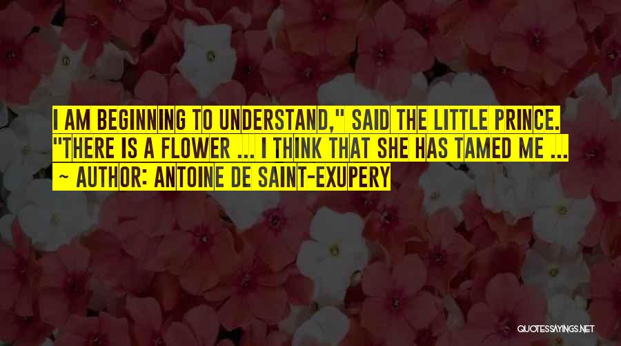 Antoine De Saint-Exupery Quotes: I Am Beginning To Understand, Said The Little Prince. There Is A Flower ... I Think That She Has Tamed