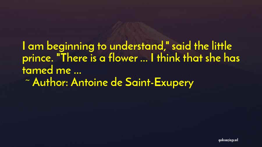 Antoine De Saint-Exupery Quotes: I Am Beginning To Understand, Said The Little Prince. There Is A Flower ... I Think That She Has Tamed