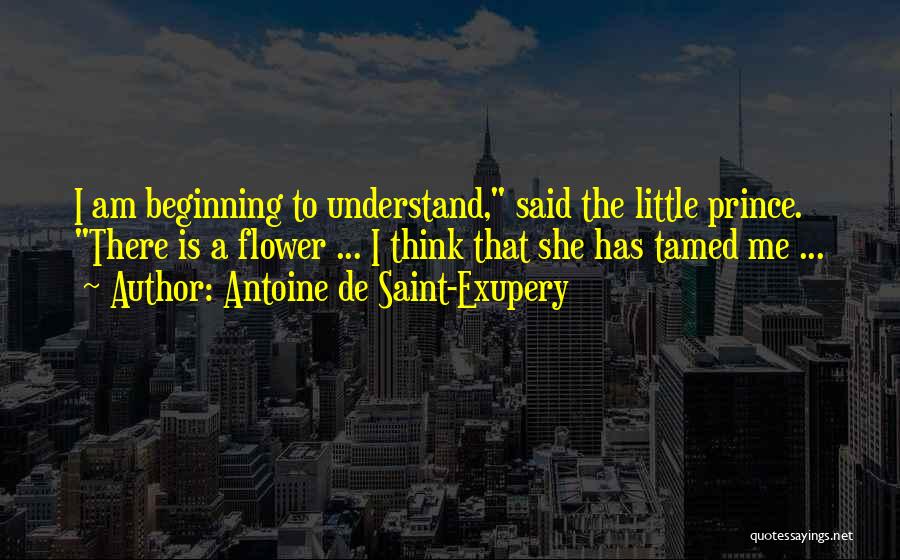 Antoine De Saint-Exupery Quotes: I Am Beginning To Understand, Said The Little Prince. There Is A Flower ... I Think That She Has Tamed