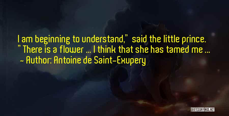 Antoine De Saint-Exupery Quotes: I Am Beginning To Understand, Said The Little Prince. There Is A Flower ... I Think That She Has Tamed