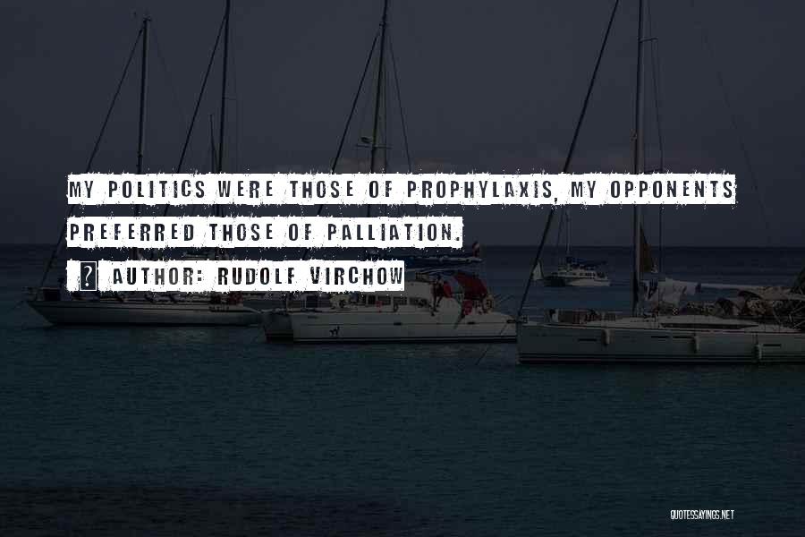 Rudolf Virchow Quotes: My Politics Were Those Of Prophylaxis, My Opponents Preferred Those Of Palliation.