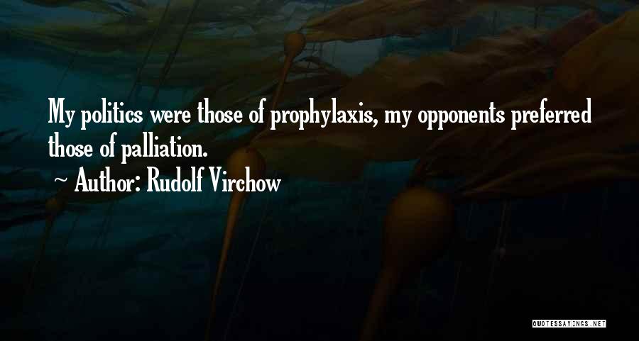 Rudolf Virchow Quotes: My Politics Were Those Of Prophylaxis, My Opponents Preferred Those Of Palliation.