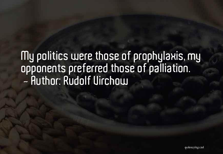 Rudolf Virchow Quotes: My Politics Were Those Of Prophylaxis, My Opponents Preferred Those Of Palliation.