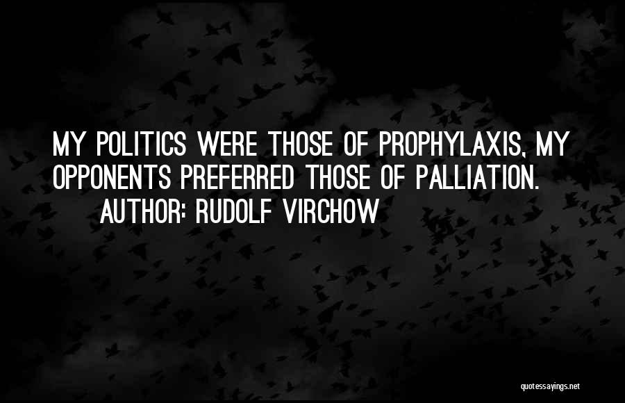 Rudolf Virchow Quotes: My Politics Were Those Of Prophylaxis, My Opponents Preferred Those Of Palliation.