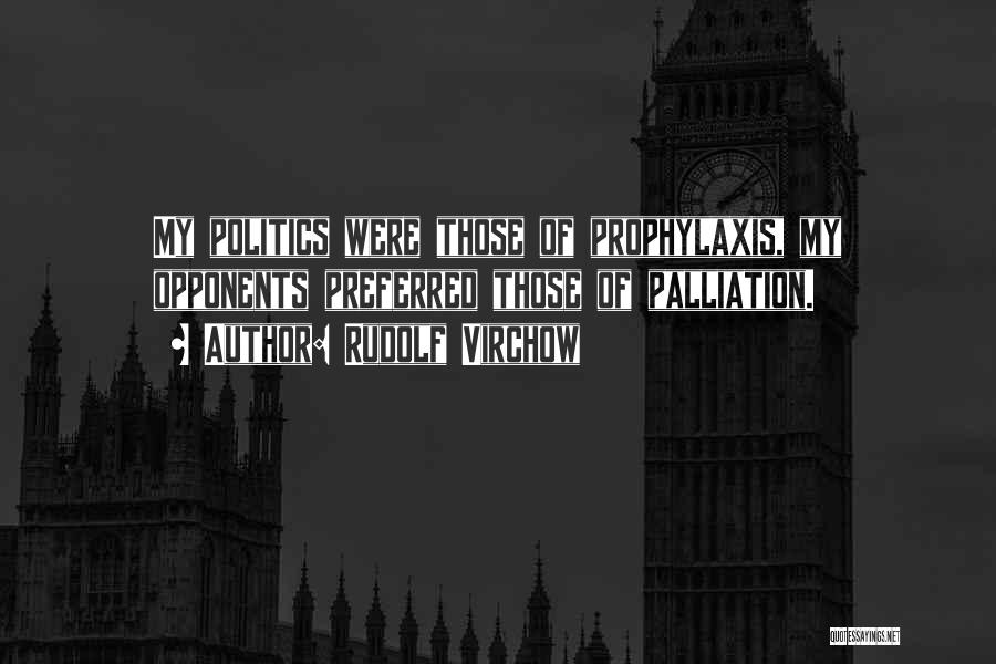 Rudolf Virchow Quotes: My Politics Were Those Of Prophylaxis, My Opponents Preferred Those Of Palliation.