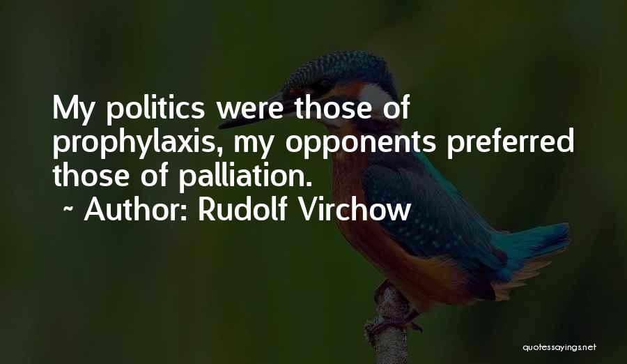 Rudolf Virchow Quotes: My Politics Were Those Of Prophylaxis, My Opponents Preferred Those Of Palliation.