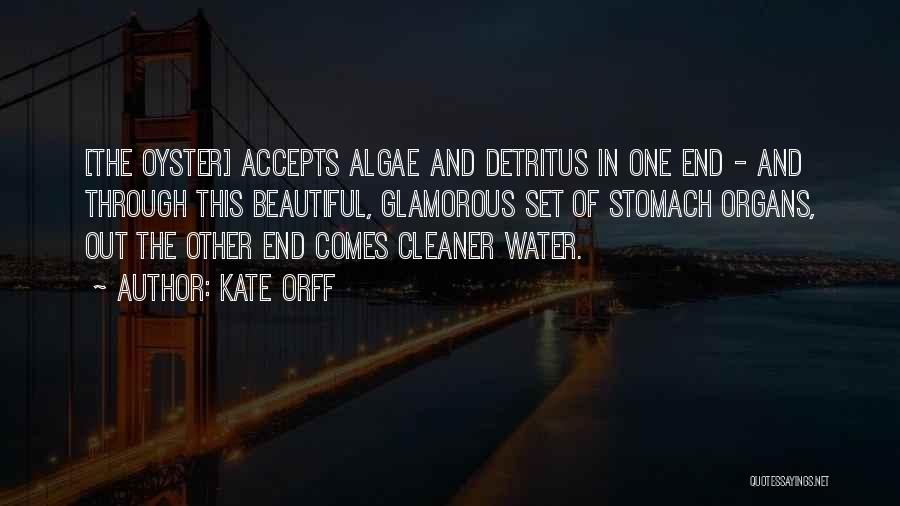 Kate Orff Quotes: [the Oyster] Accepts Algae And Detritus In One End - And Through This Beautiful, Glamorous Set Of Stomach Organs, Out